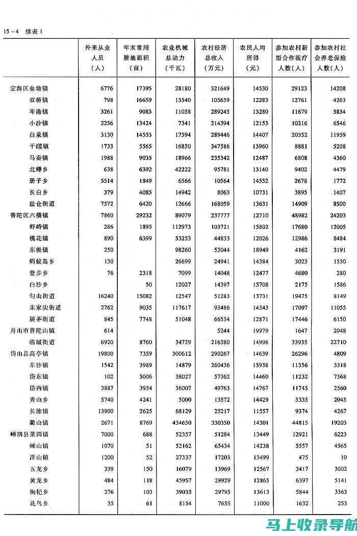 乡镇统计站站长：基层数据统计分析的实践者